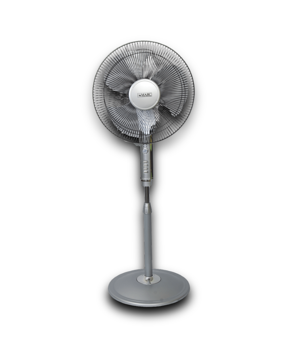 Fans
