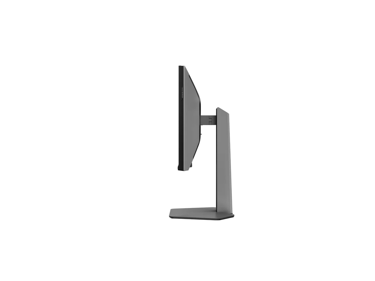 TCL 25P1A 300Hz Mini LED FHD Gaming Monitor