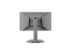 TCL 25P1A 300Hz Mini LED FHD Gaming Monitor